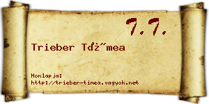 Trieber Tímea névjegykártya