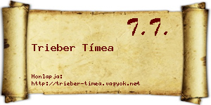 Trieber Tímea névjegykártya
